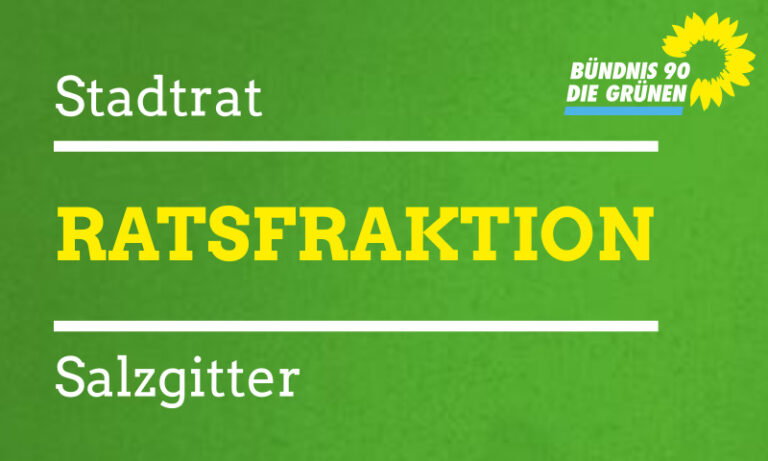 Ratssitzung am 03.09.2024: Resolution zur VW-Krise und Konzepte für städtische Herausforderungen